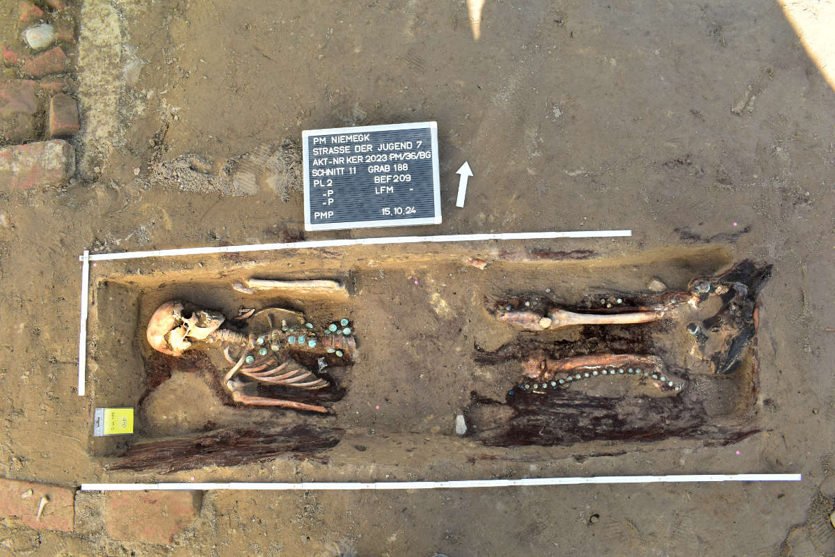 01.12.2025: Niemegk, Straße der Jugend, Aktuelle Funde